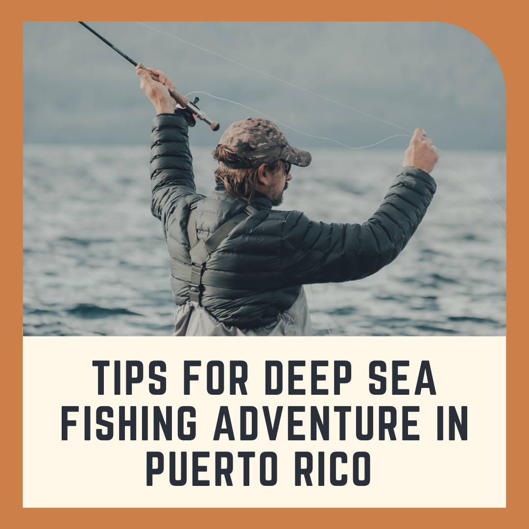 Deep Sea Fishing Adventure